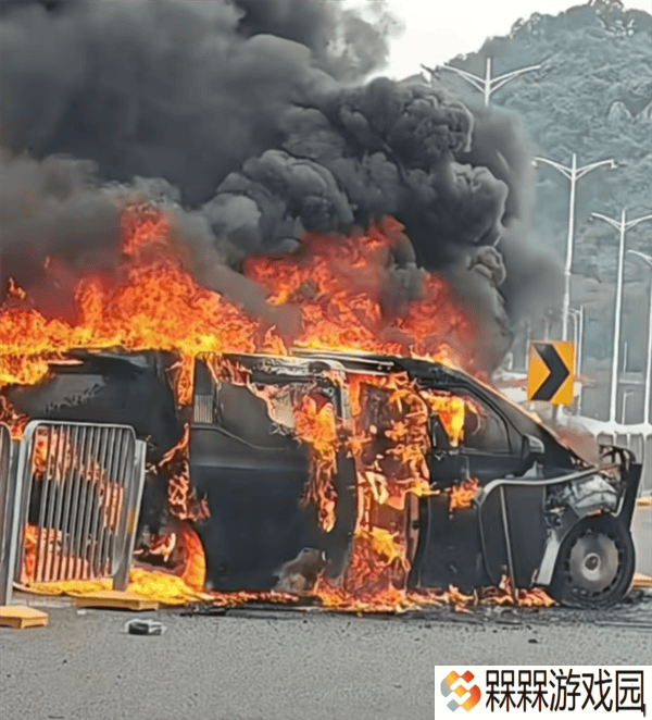 极氪009高架碰撞起火，乘客受伤！安全驾驶再敲警钟