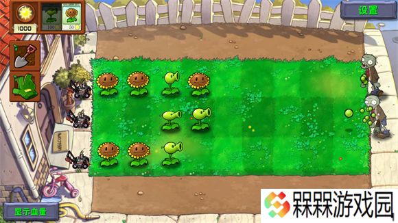 植物大战僵尸自然版