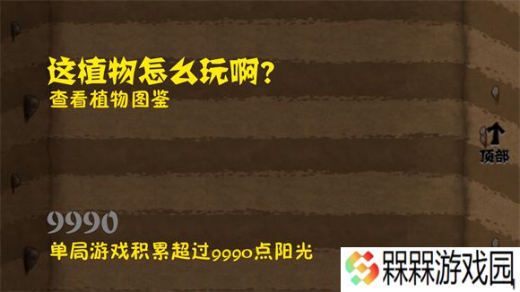 植物大战僵尸自然版