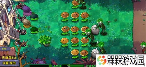 植物大战僵尸自然版