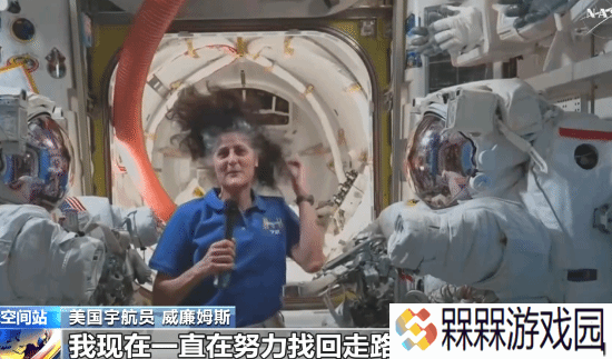 极乐软件园