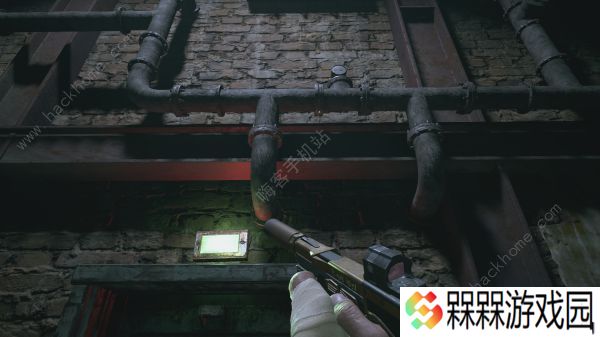 生化危机8剧情攻略 全结局达成及藏宝图总汇