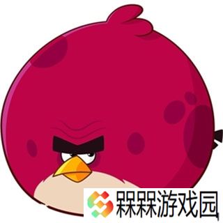 愤怒的小鸟2025