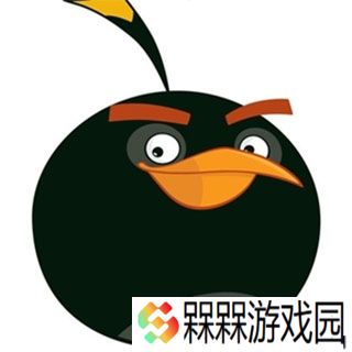愤怒的小鸟2025