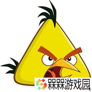 愤怒的小鸟2025