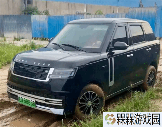 老头乐老板：高仿豪车老头乐 专卖河南农村老人
