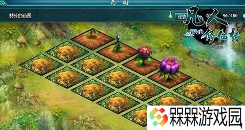《以修仙传入门攻略》（让你快速入门修仙世界的游戏攻略）