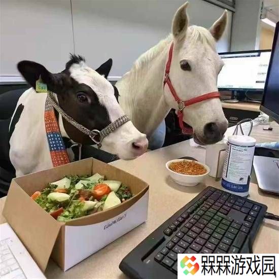 极乐软件园