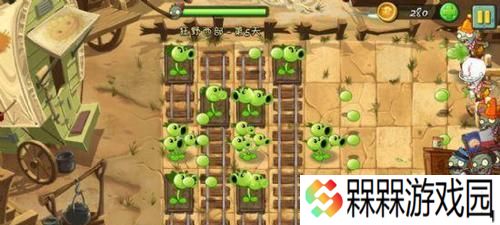 种族崛起（一步步引领你成为游戏高手）