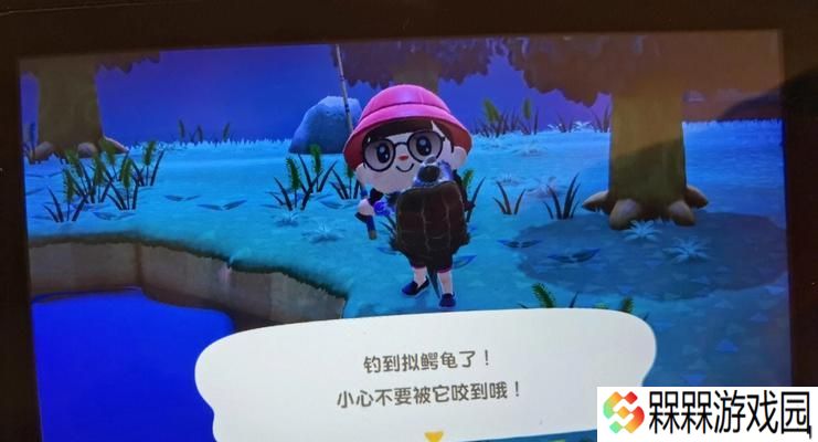 《动物森友会》南北半球都有的缺点（全面解析游戏中的问题）
