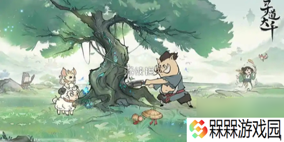 寻道大千炼药大会药师对决活动玩法介绍