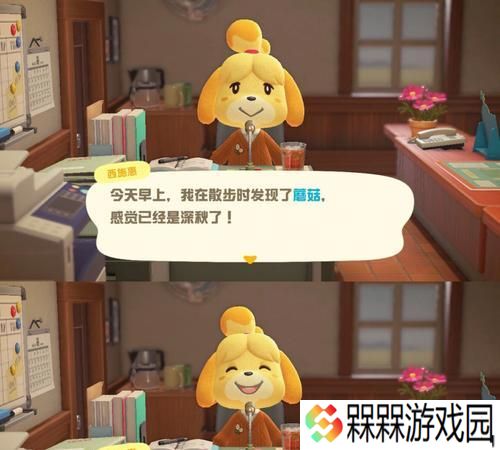 《动物森友会》南北半球都有的缺点（全面解析游戏中的问题）