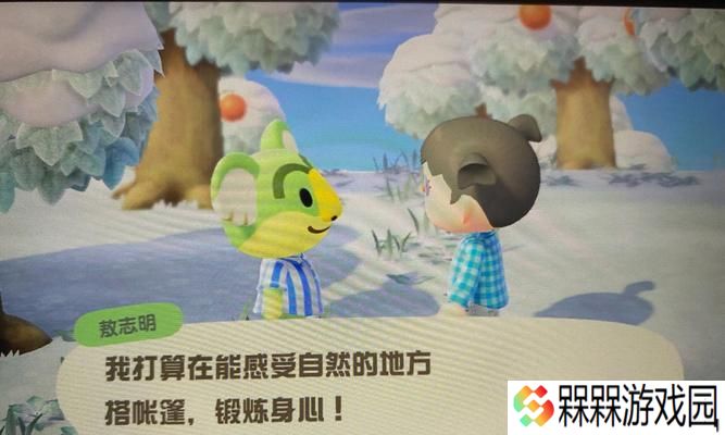 《动物森友会》雪花收集及作用全攻略（如何获取雪花并充分利用它的作用）