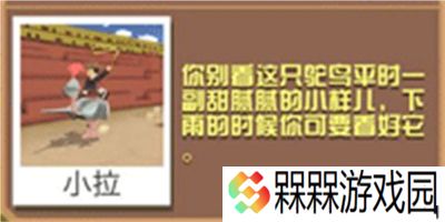 疯狂动物园2025