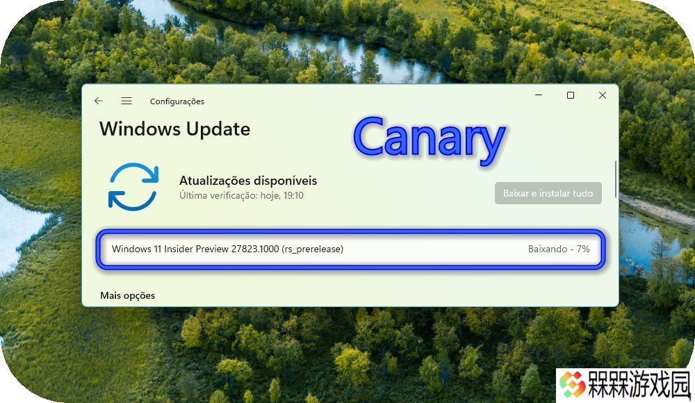 微软 Win11 Canary 27823 预览版发布：设置引入系统信息卡片，修复文件管理器菜单方向错开问题