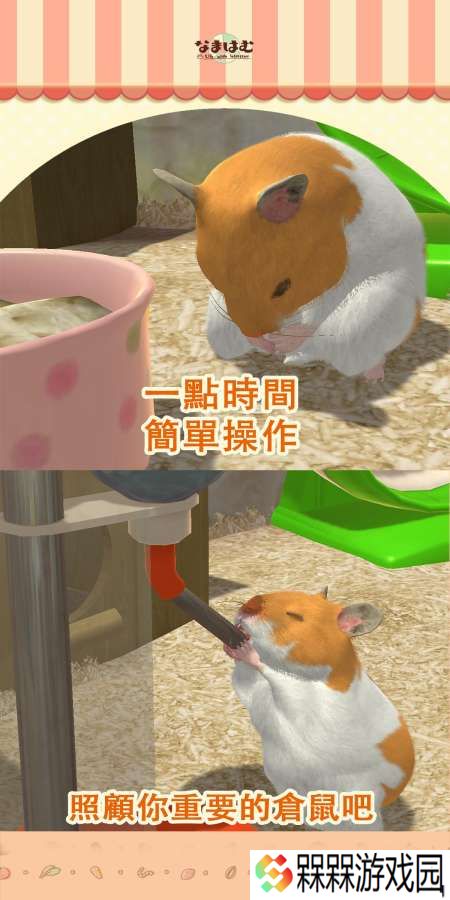 我的仓鼠
