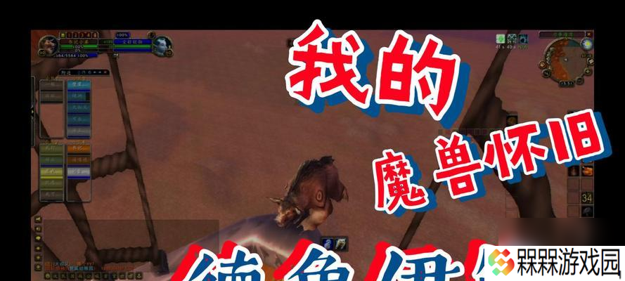 怀旧服德鲁伊如何攻略？攻略介绍有哪些要点？