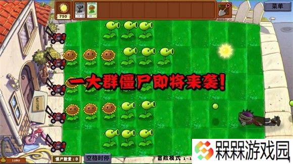 植物大战僵尸异化时空