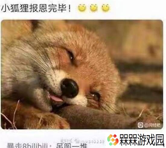极乐软件园
