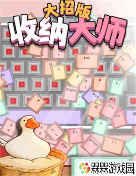 收纳大师大招版