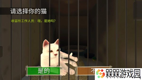顽皮猫生活模拟