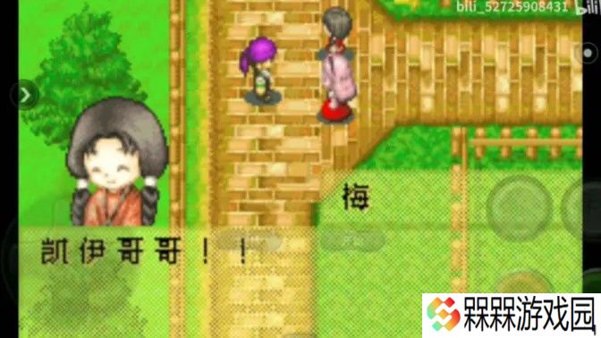 牧场物语女孩版