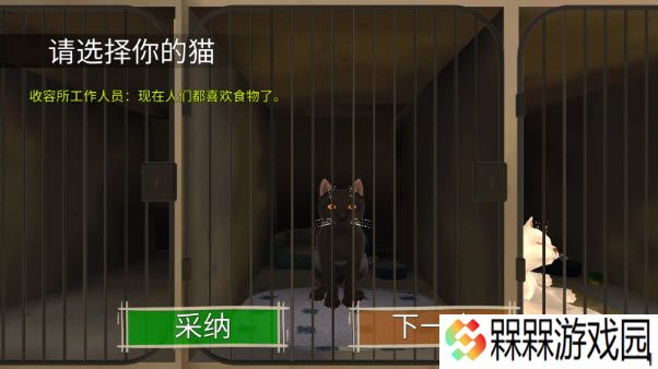 顽皮猫生活模拟