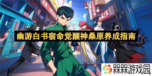 幽游白书宿命觉醒神桑原养成指南