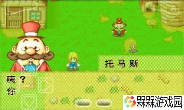 牧场物语女孩版