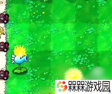 植物大战僵尸**版