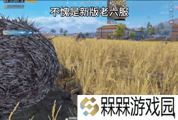 一名合格的老六，身上长稻草只是基本功罢了