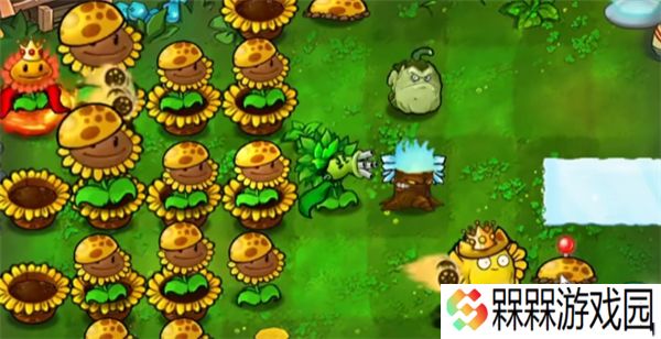 植物大战僵尸杂交版2025