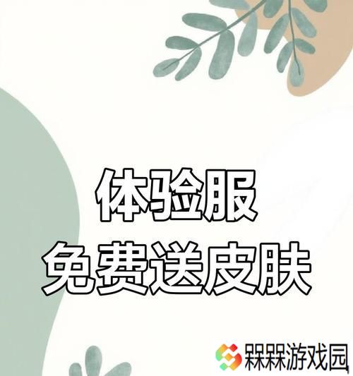 体验皮肤的方法是什么？体验后是否可以购买？