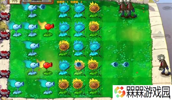 植物大战僵尸启命版1.0