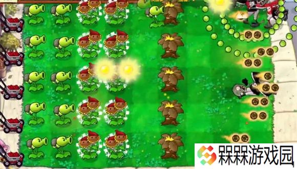 植物大战僵尸启命版1.0