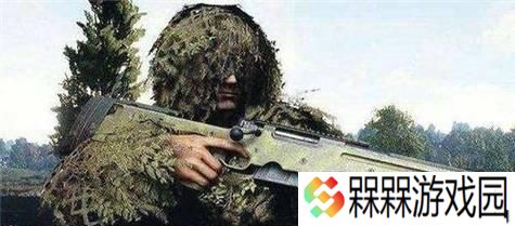 使命召唤战区实用步枪推荐？哪款步枪性能最佳？