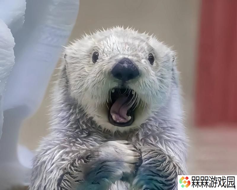 英雄联盟里的海獭叫什么？海獭在游戏中的角色是什么？