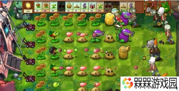 pvz融合版
