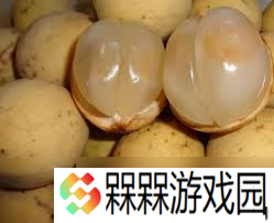 诱人水果大盘点：那些名字带“果”的美味究竟藏着怎样的甜蜜秘密？