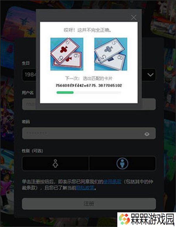 罗布乐思2025