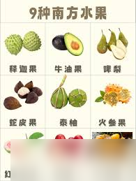 诱人水果大盘点：那些名字带“果”的美味究竟藏着怎样的甜蜜秘密？