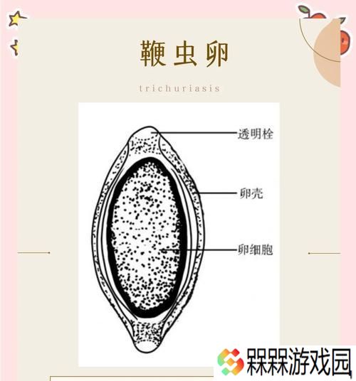 誓死坚守虫卵的打法是什么？有哪些有效对付虫卵的方法？