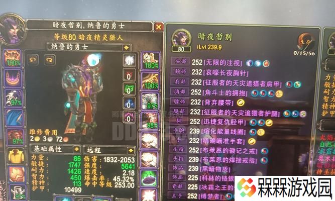 佣兵魔兽世界应该怎么玩才能玩得好？有哪些技巧可以提高游戏体验？