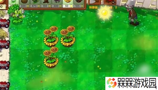 植物大战僵尸启命版