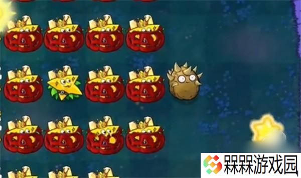 植物大战僵尸启命版