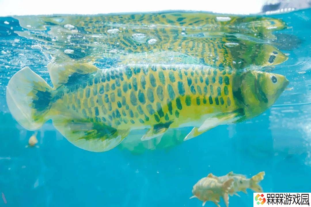 智能软体仿生鱼“金鳞”面世，能否在水族界掀起新风尚？