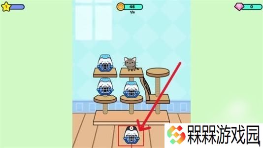 快乐撸猫