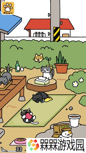 猫咪收集2