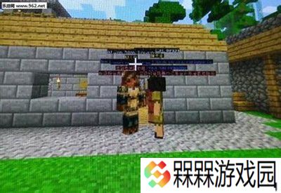 我的世界烦人的村民6.0