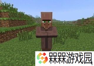 我的世界烦人的村民6.0